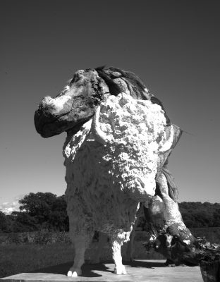 CARMIGNAC